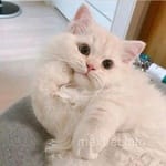 Avatar de Francisca Padilla